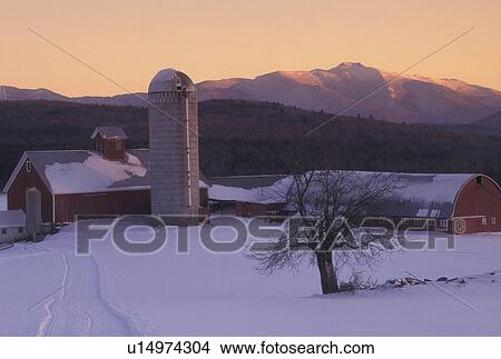 farm, winter scene, Mount Manfield, sunset, Vermont, Mt. Mansfield can be seen in the distance from the red barn on Tinker Farm at sunset in Fletcher in Lamoille County in the state of Vermont. View Large Photo Image Picture - farm, winter scene, Mount Manfield, sunset, Vermont, Mt. Mansfield can be seen in the distance from the red barn on Tinker Farm at sunset in Fletcher in Lamoille County in the state of Vermont. . Fotosearch