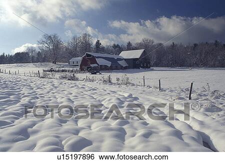 farm, winter scene, Vermont, Scenic view of a lumpy field covered with snow on a farm in East Montpelier Center in Washington County in the state of Vermont. View Large Photo Image Stock Photograph - farm, winter scene, Vermont, Scenic view of a lumpy field covered with snow on a farm in East Montpelier Center in Washington County in the state of Vermont.. Fotosearch
