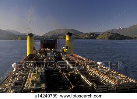 Stock Photo -  ferry, Patagonia, Chile, Pacific Ocean, A passenger/cargo ferry boat carrying livestock cruises through beautiful scenery of fjords and icebergs going from southern Chile to Puerto Montt. . Fotosearch