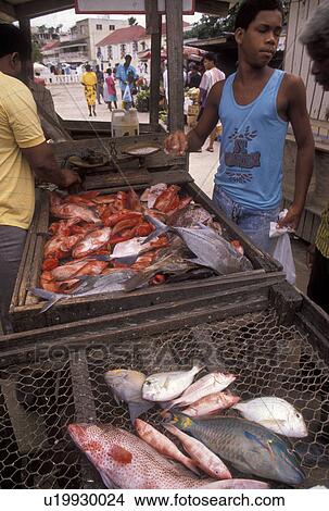 Picture -  fish market, Caribbean, St. Martin, Marigot, Caribbean Islands, Local people [buying, selling] fish at fish market in Marigot the French capital of the island of Saint Martin (french part).. Fotosearch