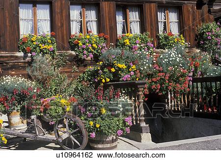 Stock Image -  flowers, Switzerland, Bern, Europe, Emmental, A restaurant is beautifully decorated with flowers in Sumiswald in the Canton of Bern.. Fotosearch