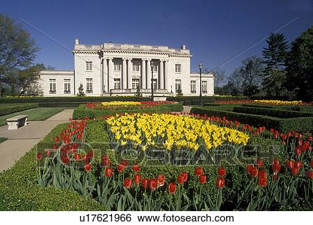 Frankfort, Governor's Mansion, Kentucky, Red and yellow tulips decorate the grounds of the Governor's Mansion (a 1798 Federal-style mansion) in the spring in Frankfort in the state of Kentucky. View Large Photo Image Stock Photograph - Frankfort, Governor's Mansion, Kentucky, Red and yellow tulips decorate the grounds of the Governor's Mansion (a 1798 Federal-style mansion) in the spring in Frankfort in the state of Kentucky. . Fotosearch