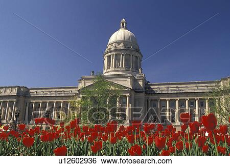 Stock Photograph -  Frankfort, State Capitol, State House, Kentucky, Red tulips adorn the grounds of the State Capitol Building in the spring in the capital city of Frankfort in the state of Kentucky. . Fotosearch