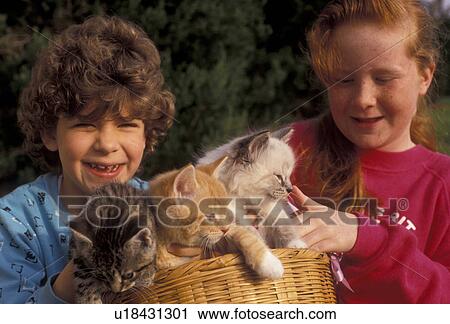Stock Image -  friends, kitten, cat, sharing, girls, Two happy girls sit together holding a basket of three adorable kittens (5-6 weeks old) on their laps in Exton in the state of Pennsylvania. . Fotosearch