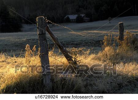 frost, fence, Baxter State Park, Maine, Morning frost on a fence post and field in Baxter State Park. View Large Photo Image Picture - frost, fence, Baxter State Park, Maine, Morning frost on a fence post and field in Baxter State Park. . Fotosearch
