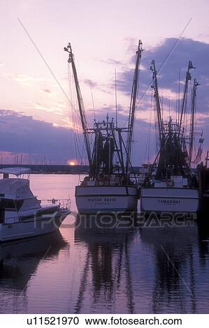 Stock Image -  Georgia, Shrimp boats, Fishing boats moored at dock on the St. Marys River in St. Marys, Georgia at sunset.. Fotosearch