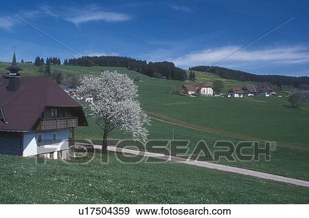 Stock Photo -  Germany, Black Forest, Europe, Scenic view of the lush farmland and countryside of the Black Forest Region in Breitnau, Germany in the spring.. Fotosearch