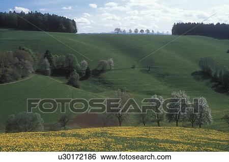 Stock Photograph -  Germany, Black Forest, Europe, Scenic rolling hills and lush green fields of the Black Forest Region in St. Margen, Germany in the spring.. Fotosearch