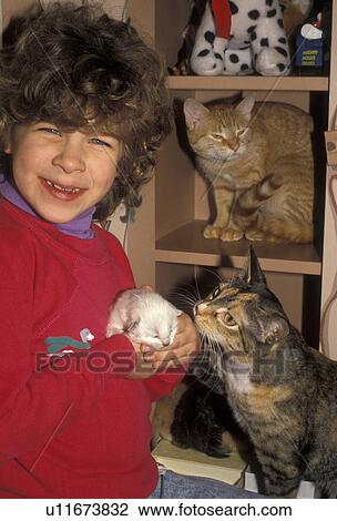 girl, cats, kitten, A mother cat looks on as a happy young girl holds a newborn kitten in her hands. Another cat sits behind on a shelf. View Large Photo Image Stock Image - girl, cats, kitten, A mother cat looks on as a happy young girl holds a newborn kitten in her hands. Another cat sits behind on a shelf. . Fotosearch