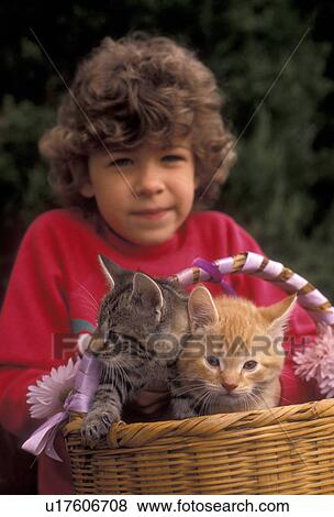 Stock Photo -  girl, child, kitten, cat, A young 5 year old girl holds a basket of two adorable kittens (5-6 weeks old) on her lap in Exton in the state of Pennsylvania. . Fotosearch