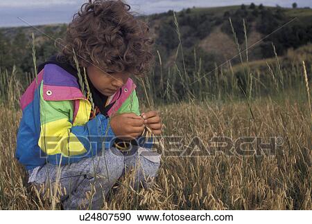 girl, Theodore Roosevelt National Park, North Unit, North Dakota, Young girl (6 years old) squats down and observes a blade of prairie grass in her hands while hiking in Theodore Roosevelt National Park in the state of North Dakota. View Large Photo Image Stock Image - girl, Theodore Roosevelt National Park, North Unit, North Dakota, Young girl (6 years old) squats down and observes a blade of prairie grass in her hands while hiking in Theodore Roosevelt National Park in the state of North Dakota.. Fotosearch