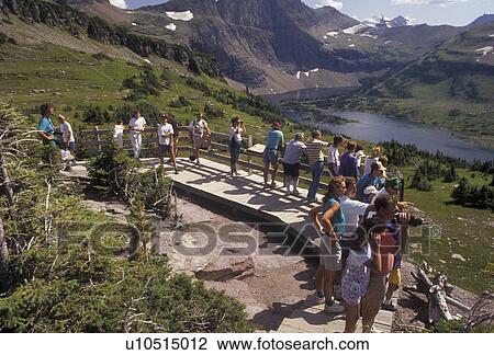 Glacier National Park, lake, Montana, Rocky Mountains, overlook, Waterton-Glacier International Peace Park, Montana, A group of tourist stand on an overlook looking at the picturesque view of Hidden Lake and the mountains in Glacier National Park in the View Large Photo Image Stock Image - Glacier National Park, lake, Montana, Rocky Mountains, overlook, Waterton-Glacier International Peace Park, Montana, A group of tourist stand on an overlook looking at the picturesque view of Hidden Lake and the mountains in Glacier National Park in the . Fotosearch