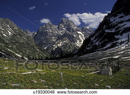 Grand Teton National Park, Wyoming, Rocky Mountains, Cascade Canyon Trail in the Grand Teton National Park. Snow-capped mountains and valley. View Large Photo Image Stock Photo - Grand Teton National Park, Wyoming, Rocky Mountains, Cascade Canyon Trail in the Grand Teton National Park. Snow-capped mountains and valley.. Fotosearch
