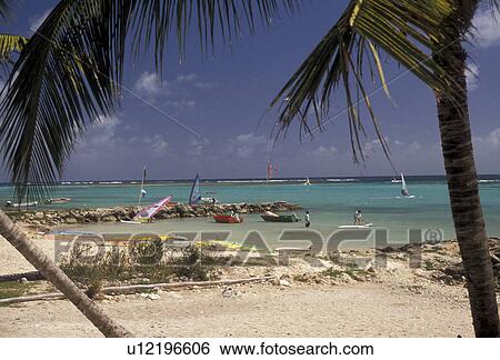 Stock Photograph -  Guadeloupe, beach, Caribbean, Caribbean Islands, Windsurfing from the beach in St. Francois on the island of Grande-Terre in Guadeloupe (a french department) The Emerald Isle.. Fotosearch