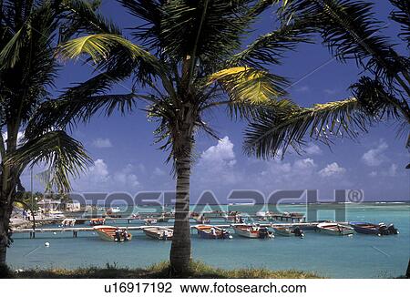 Guadeloupe, Caribbean, beach, Caribbean Islands, Picturesque view of palm trees along the harbor and fishing boats on the pier in St. Francois on the island of Grande-Terre in Guadeloupe (a french department) The Emerald Isle. View Large Photo Image Stock Image - Guadeloupe, Caribbean, beach, Caribbean Islands, Picturesque view of palm trees along the harbor and fishing boats on the pier in St. Francois on the island of Grande-Terre in Guadeloupe (a french department) The Emerald Isle.. Fotosearch