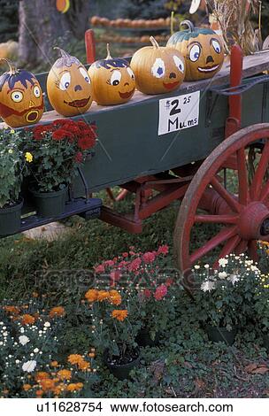 Picture -  Halloween, pumpkins, wagon, Pennsylvania, Wagontown, A group of pumpkins with painted faces sitting on a wagon with fall flowers.. Fotosearch