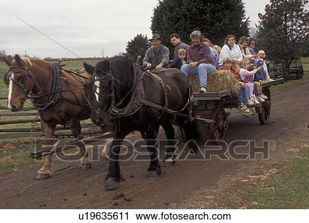 Stock Image -  hay ride, New Jersey, Living History Farm, A team of horses pulls a wagon load of people through the Howell Living History Farm in Lambertville in the state of New Jersey. . Fotosearch