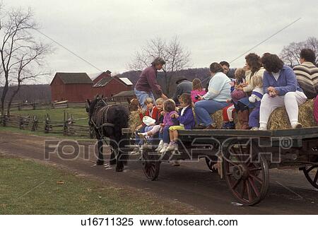Stock Photography -  hay ride, New Jersey, Living History Farm, A team of horses pulls a wagon load of people through the Howell Living History Farm in Lambertville in the state of New Jersey. . Fotosearch