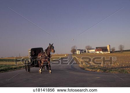 Stock Photograph -  horse and buggy, amish, Amish country, Lancaster County, Pennsylvania, Amish horse and buggy trot along a country road through scenic Pennsylvania Dutch Country in the state of Pennsylvania.. Fotosearch