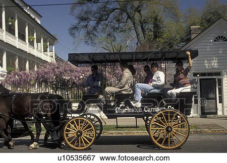 Stock Photo -  horse-drawn carriage, Charleston, South Carolina, Carriage tours take tourists through downtown Charleston in the state of South Carolina. . Fotosearch