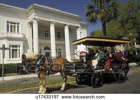 Stock Photo -  horse-drawn carriage, Charleston, South Carolina, Carriage tours take tourists through Historic District on South Battery Street in Charleston in the state of South Carolina. . Fotosearch