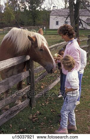 horse, Hopewell Furnace, Pennsylvania, Woman with children feeding an apple to a horse at Hopewell Furnace National Historic Site in the state of Pennsylvania. View Large Photo Image Stock Image - horse, Hopewell Furnace, Pennsylvania, Woman with children feeding an apple to a horse at Hopewell Furnace National Historic Site in the state of Pennsylvania.. Fotosearch