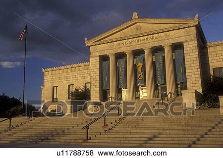 Illinois, Chicago, John G. Shedd Aquarium in Chicago., View Large Photo Image Stock Photo - Illinois, Chicago, John G. Shedd Aquarium in Chicago., . Fotosearch