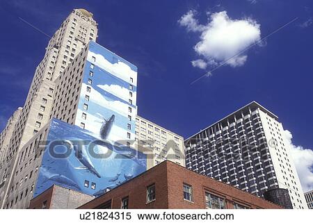 Stock Photography -  Illinois, Chicago, Skyline of downtown Chicago. Whale mural on wall of high rise building . Fotosearch
