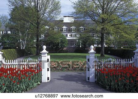 Stock Photo -  inn, resort, Vermont, VT, Red tulips decorate the entrance to the Woodstock Inn & Resort in the town of Woodstock in the spring.. Fotosearch
