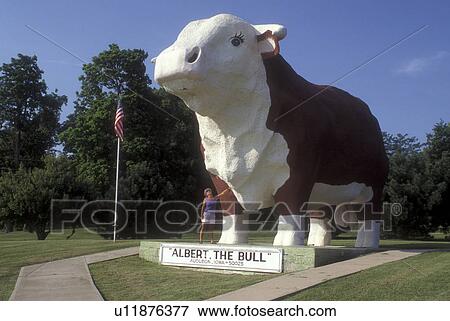 Stock Photo -  Iowa, Audubon, World's Largest Bull Albert (30 feet tall) statue towers over woman at park in Audubon., . Fotosearch