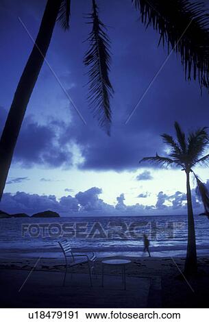 island, paradise, Antigua, Caribbean, Caribbean Islands, Person walking on secluded beach at sunrise with palm trees on Half Moon Bay on the island of Antigua (a British Commonwealth member). View Large Photo Image Stock Image - island, paradise, Antigua, Caribbean, Caribbean Islands, Person walking on secluded beach at sunrise with palm trees on Half Moon Bay on the island of Antigua (a British Commonwealth member). . Fotosearch
