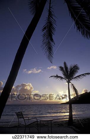 island, paradise, ocean, Antigua, Caribbean, Caribbean Islands, Secluded beach at sunrise with palm trees on Half Moon Bay on the island of Antigua (a British Commonwealth member). View Large Photo Image Stock Photo - island, paradise, ocean, Antigua, Caribbean, Caribbean Islands, Secluded beach at sunrise with palm trees on Half Moon Bay on the island of Antigua (a British Commonwealth member). . Fotosearch