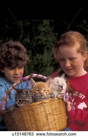 kitten, cat, friends, girls, Two girls sit together holding a basket of three adorable kittens (5-6 weeks old) on their laps in Exton in the state of Pennsylvania. View Large Photo Image Stock Image - kitten, cat, friends, girls, Two girls sit together holding a basket of three adorable kittens (5-6 weeks old) on their laps in Exton in the state of Pennsylvania. . Fotosearch
