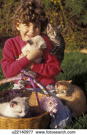 kitten, cat, girl, child, A young 5 year old girl plays with her four kittens (5-6 weeks old) on the grass in Exton in the state of Pennsylvania. View Large Photo Image Stock Photo - kitten, cat, girl, child, A young 5 year old girl plays with her four kittens (5-6 weeks old) on the grass in Exton in the state of Pennsylvania. . Fotosearch