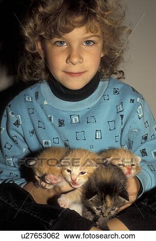 kitten, cats, girl, Young girl with blonde hair and blue eyes holds four kittens in her lap. View Large Photo Image Stock Image - kitten, cats, girl, Young girl with blonde hair and blue eyes holds four kittens in her lap. . Fotosearch