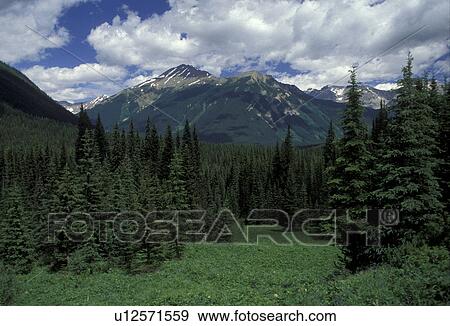 Stock Photo -  Kootenay National Park, British Columbia, Canada, Canadian Rockies, mountains, alpine, Scenic view of the mountains in Kootenay National Park.. Fotosearch
