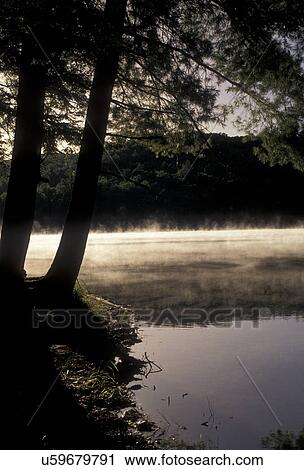 lake, Chattahoochee National Forest, North Georgia, Appalachian Mountains, Mist rises above the calm waters of Lake Winfield Scott in the early morning in the Chattahoochee Nat'l Forest in the state of Georgia. View Large Photo Image Stock Image - lake, Chattahoochee National Forest, North Georgia, Appalachian Mountains, Mist rises above the calm waters of Lake Winfield Scott in the early morning in the Chattahoochee Nat'l Forest in the state of Georgia. . Fotosearch
