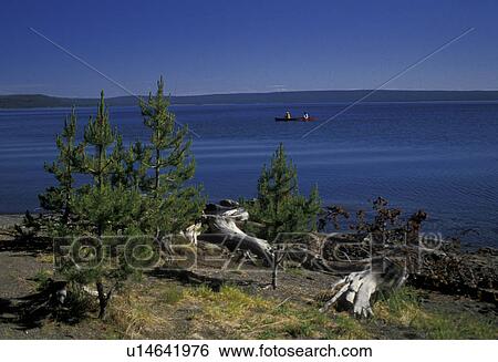 lake, Yellowstone National Park, Wyoming, Scenic view of the clear blue Yellowstone Lake in Yellowstone National Park. View Large Photo Image Stock Photograph - lake, Yellowstone National Park, Wyoming, Scenic view of the clear blue Yellowstone Lake in Yellowstone National Park. . Fotosearch