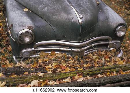 leaves, fall, An abandoned car sits amoung colorful autumn leaves View Large Photo Image Stock Image - leaves, fall, An abandoned car sits amoung colorful autumn leaves . Fotosearch