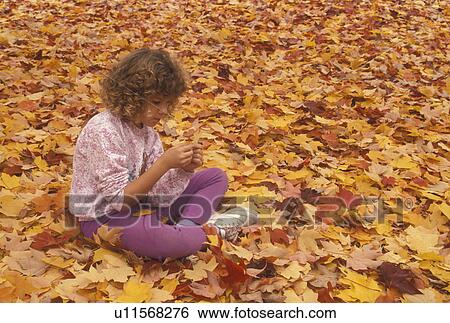 leaves, fall, Young girl sits on the ground covered with red yellow and orange maple leaves looking at a leaf in her hands View Large Photo Image Stock Photograph - leaves, fall, Young girl sits on the ground covered with red yellow and orange maple leaves looking at a leaf in her hands . Fotosearch