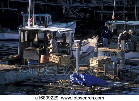 lobster boats, Maine, Fishermen working in their lobster boats docked in Wonsqueak Harbor along the Atlantic Ocean., View Large Photo Image Stock Photo - lobster boats, Maine, Fishermen working in their lobster boats docked in Wonsqueak Harbor along the Atlantic Ocean., . Fotosearch