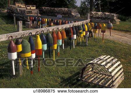 lobster traps, buoys, Maine, Colorful lobster buoys and lobster traps for sale on Mount Desert Island in the state of Maine. View Large Photo Image Stock Photography - lobster traps, buoys, Maine, Colorful lobster buoys and lobster traps for sale on Mount Desert Island in the state of Maine.. Fotosearch