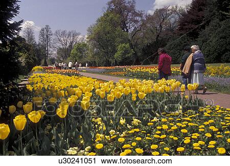 Longwood Gardens, Brandywine River Valley, Kennett Square, Pennsylvania, People walk through the beautiful tulip garden at Longwood Gardens in the springtime in Kennett Square in brandywine Valley in the state of Pennsylvania. View Large Photo Image Stock Image - Longwood Gardens, Brandywine River Valley, Kennett Square, Pennsylvania, People walk through the beautiful tulip garden at Longwood Gardens in the springtime in Kennett Square in brandywine Valley in the state of Pennsylvania.. Fotosearch