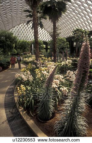 Longwood Gardens, conservatory, Kennett Square, Pennsylvania, Brandywine River Valley, Garden in the East Conservatory at Longwood Gardens in Kennett Square in Brandywine Valley in the state of Pennsylvania. View Large Photo Image Stock Image - Longwood Gardens, conservatory, Kennett Square, Pennsylvania, Brandywine River Valley, Garden in the East Conservatory at Longwood Gardens in Kennett Square in Brandywine Valley in the state of Pennsylvania.. Fotosearch