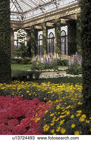 Stock Image -  Longwood Gardens, conservatory, Brandywine River Valley, Kennett Square, Pennsylvania, Beautiful flowers of pink and yellow grow in the garden in the Main Conservatory at Longwood Gardens in Kennett Square in Brandywine Valley in the state of Pennsylvani. Fotosearch