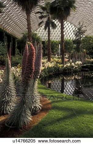 Stock Photography -  Longwood Gardens, conservatory, Kennett Square, Brandywine River Valley, Pennsylvania, Garden in the East Conservatory at Longwood Gardens in Kennett Square in Brandywine Valley in the state of Pennsylvania.. Fotosearch