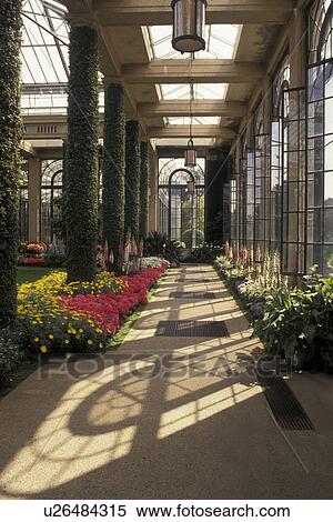 Stock Photography -  Longwood Gardens, conservatory, Brandywine River Valley, Kennett Square, Pennsylvania, Passageway of tall glass windows through the gardens in the Main Conservatory at Longwood Gardens in Kennett Square in Brandywine Valley in the state of Pennsylvania.. Fotosearch