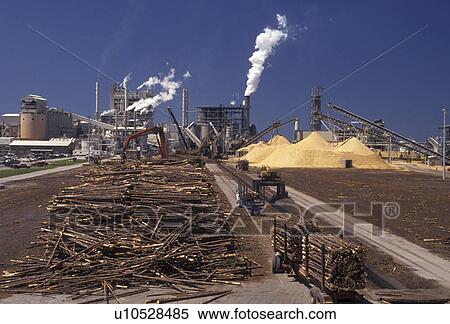 lumber, sawmill, papermill, Florida, Lumberyard at St. Joe Forest Products Company in Port Saint Joe in the state of Florida. View Large Photo Image Stock Photography - lumber, sawmill, papermill, Florida, Lumberyard at St. Joe Forest Products Company in Port Saint Joe in the state of Florida.. Fotosearch