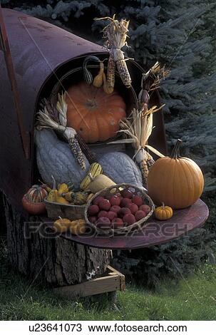 mailbox, autumn, fall decoration, Vermont, A large mailbox decorated with gourds, indian corn and apples is displayed as a fall decoration at Morse Farm in Montpelier in Washington County in the state of Vermont. View Large Photo Image Stock Image - mailbox, autumn, fall decoration, Vermont, A large mailbox decorated with gourds, indian corn and apples is displayed as a fall decoration at Morse Farm in Montpelier in Washington County in the state of Vermont. . Fotosearch