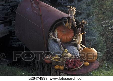 Stock Image -  mailbox, fall decoration, autumn, Vermont, A large mailbox decorated with gourds, indian corn and apples is displayed as a fall decoration at Morse Farm in Montpelier in Washington County in the state of Vermont. . Fotosearch